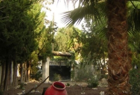 Foto 19