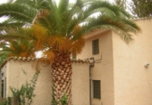 Xalet independent amb terreny en venda a Archena ref.: TR58528 foto