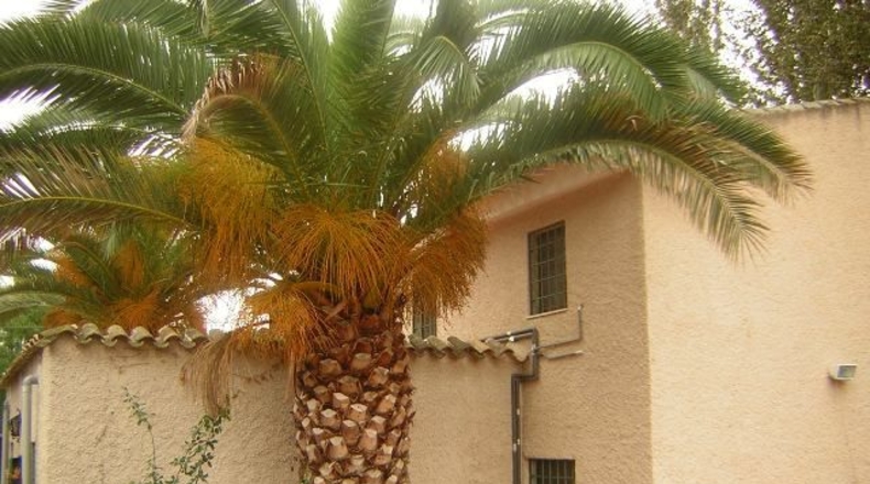 Murcia - Archena - 2000m2