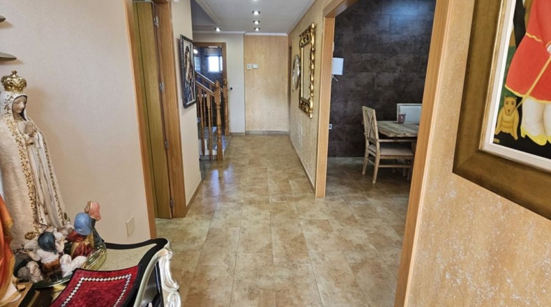 Murcia - Molina de Segura - 700m2
