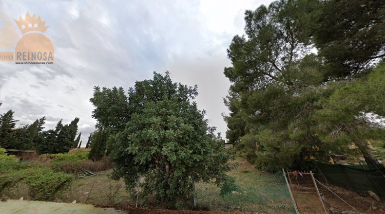 Murcia - Molina de Segura - 1000m2