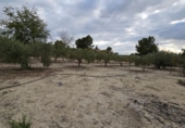 Finca rústica en venda a Molina de Segura ref.: TR183064 foto