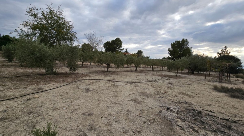 Murcia - Los Vientos - 3549m2