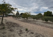 Finca rústica en venda a Molina de Segura ref.: TR183064 foto