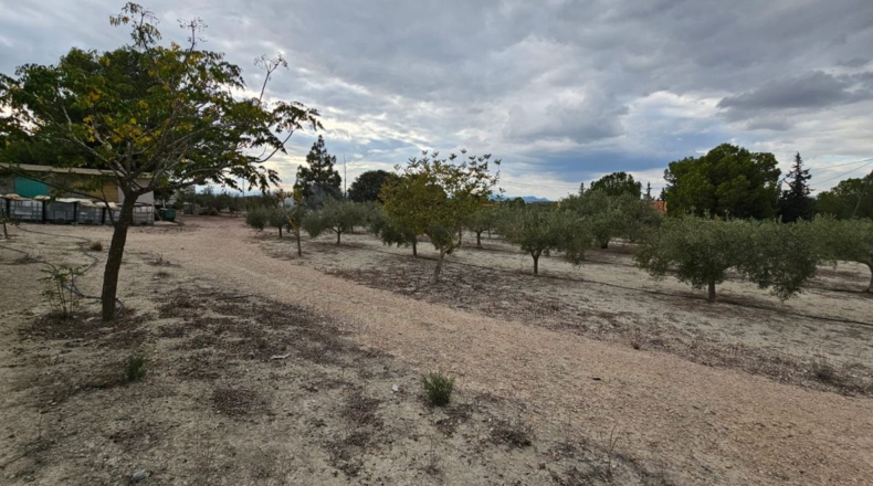 Murcia - Los Vientos - 3549m2