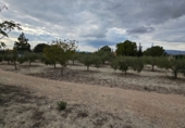 Finca rústica en venda a Molina de Segura ref.: TR183064 foto
