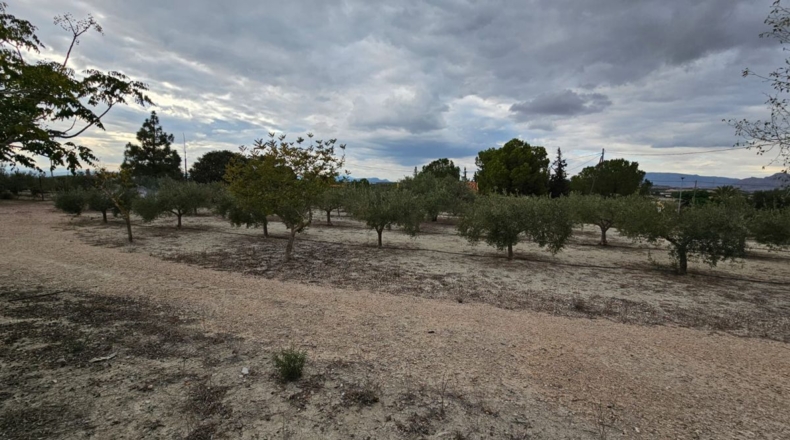 Murcia - Los Vientos - 3549m2