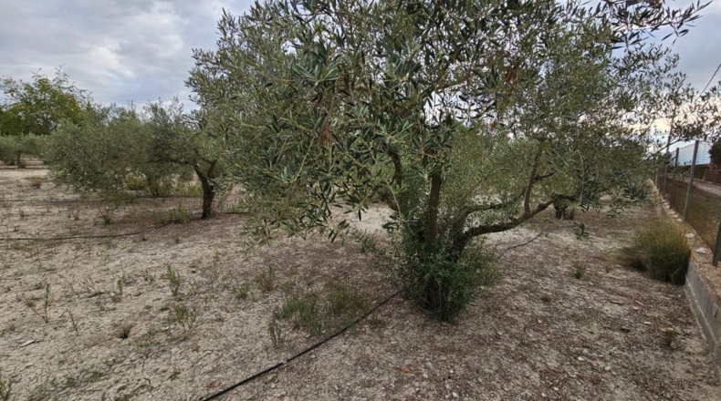 Murcia - Los Vientos - 3549m2