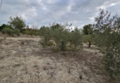 Finca rústica en venda a Molina de Segura ref.: TR183064 foto