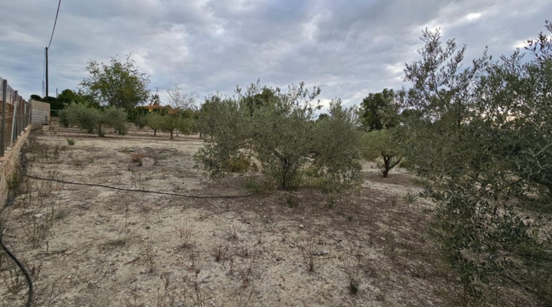 Murcia - Los Vientos - 3549m2