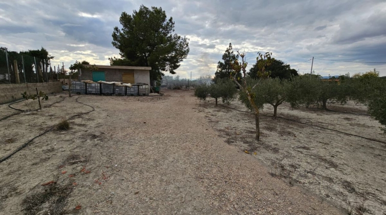 Murcia - Los Vientos - 3549m2