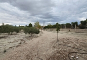 Finca rústica en venda a Molina de Segura ref.: TR183064 foto