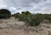 Finca rústica en venda a Molina de Segura ref.: TR183064 foto