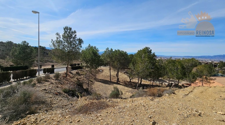 Murcia - Molina de Segura - 810m2