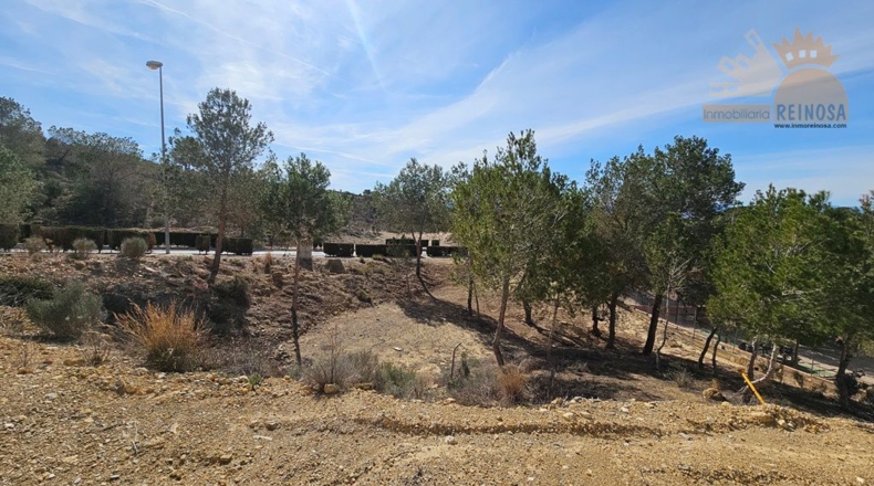 Murcia - Molina de Segura - 810m2