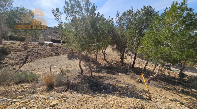 Murcia - Molina de Segura - 810m2