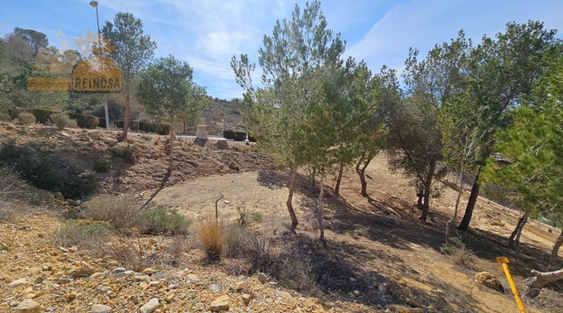 Murcia - Molina de Segura - 810m2