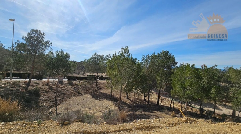 Murcia - Molina de Segura - 810m2