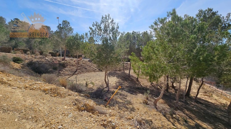Murcia - Molina de Segura - 810m2