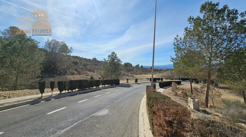 Murcia - Molina de Segura - 810m2