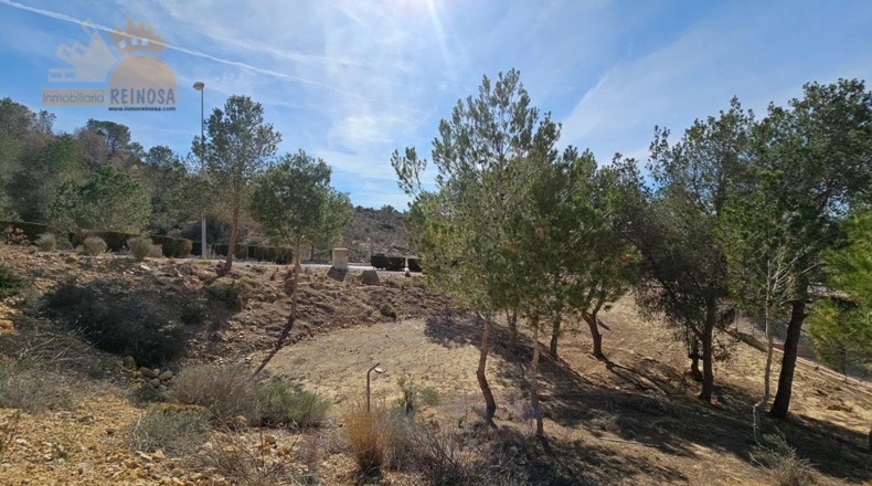 Murcia - Molina de Segura - 810m2