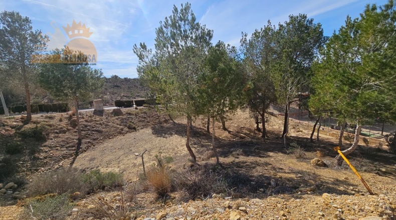 Murcia - Molina de Segura - 810m2