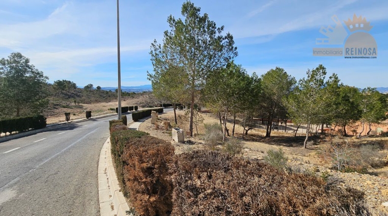 Murcia - Molina de Segura - 810m2