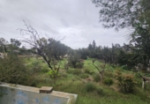Sòl urbà en venda a Molina de Segura ref.: TR252891 foto