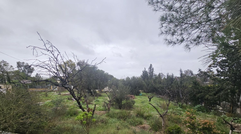 Murcia - Molina de Segura - 1740m2