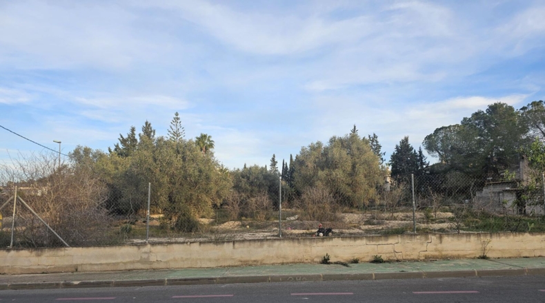 Murcia - Molina de Segura - 1740m2