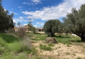 Sòl urbà en venda a Molina de Segura ref.: TR252891 foto