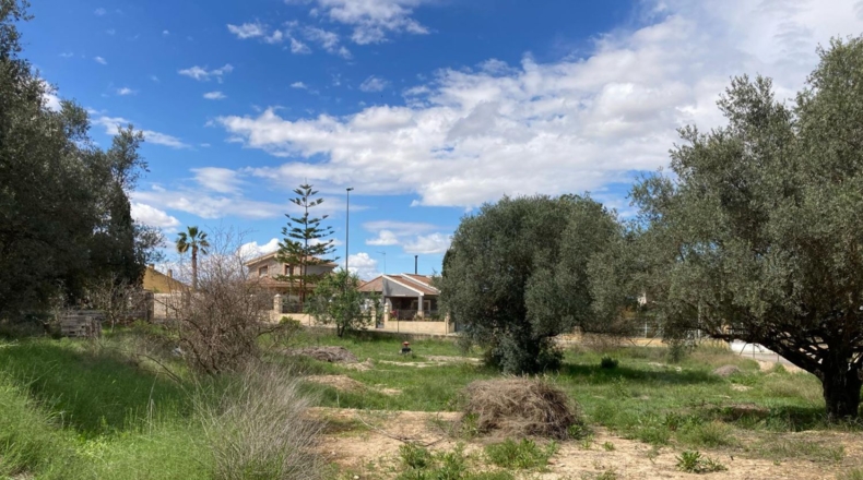 Murcia - Molina de Segura - 1740m2