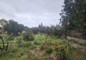 Sòl urbà en venda a Molina de Segura ref.: TR252891 foto