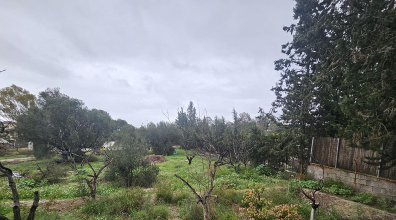Murcia - Molina de Segura - 1740m2