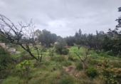 Sòl urbà en venda a Molina de Segura ref.: TR252891 foto
