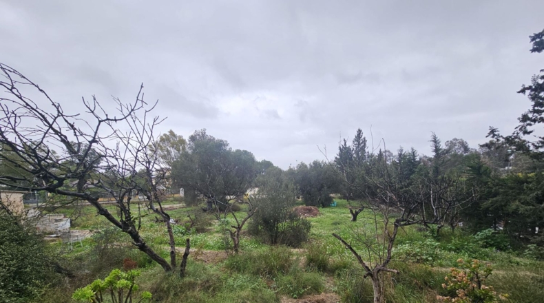 Murcia - Molina de Segura - 1740m2
