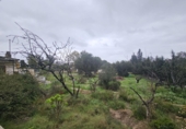 Sòl urbà en venda a Molina de Segura ref.: TR252891 foto