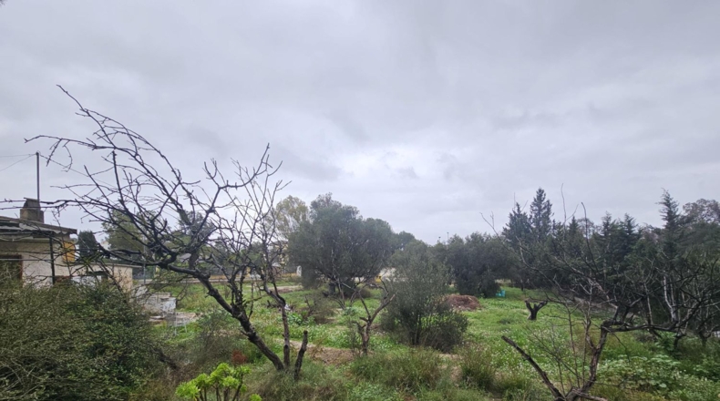 Murcia - Molina de Segura - 1740m2