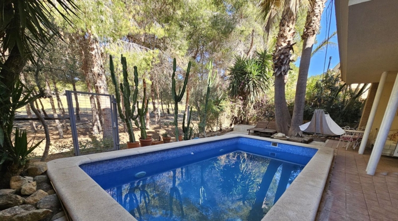 Murcia - Molina de Segura - 254m2