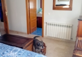 Xalet adossat amb terreny en venda a Molina de Segura ref.: TR281195 foto