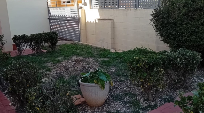 Murcia - Molina de Segura - 400m2