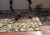 Xalet adossat amb terreny en venda a Molina de Segura ref.: TR281195 foto