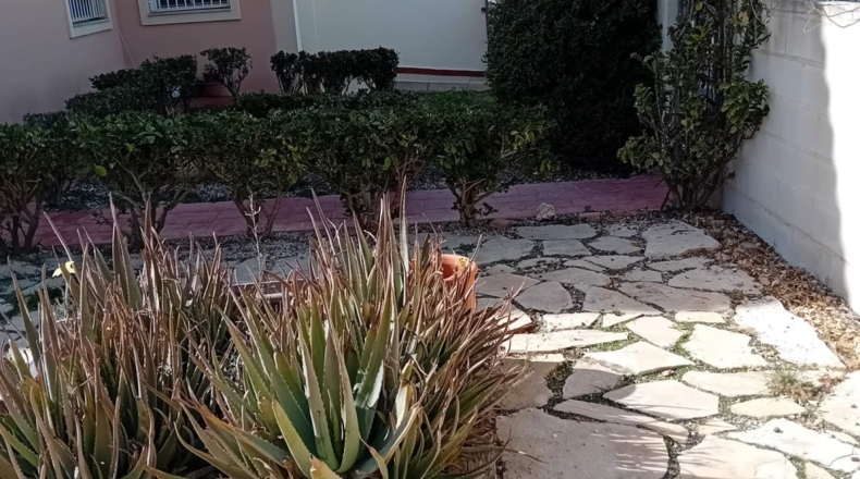 Murcia - Molina de Segura - 400m2