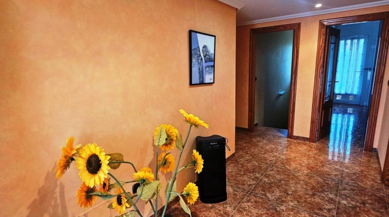 Murcia - Molina de Segura - 1200m2