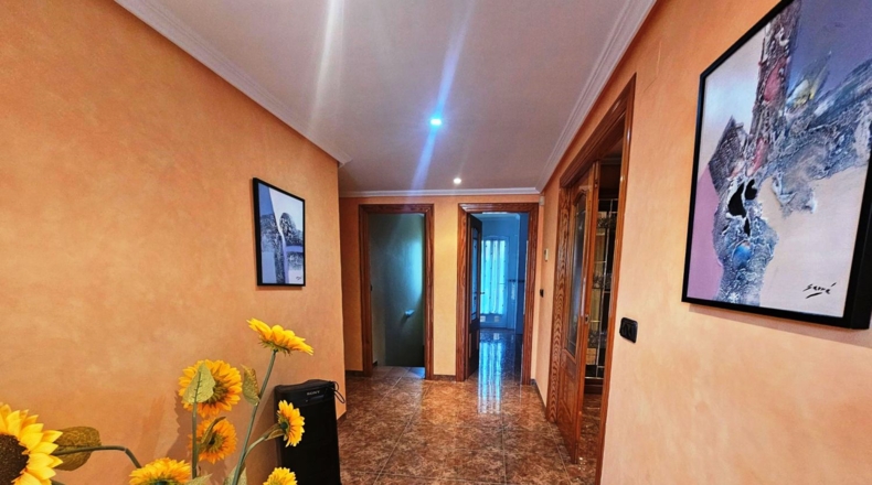 Murcia - Molina de Segura - 1200m2