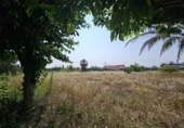 Non-developable land for sale in Molina de Segura ref: TR235072 photo