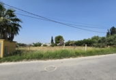 Non-developable land for sale in Molina de Segura ref: TR235072 photo