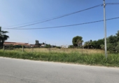 Non-developable land for sale in Molina de Segura ref: TR235072 photo
