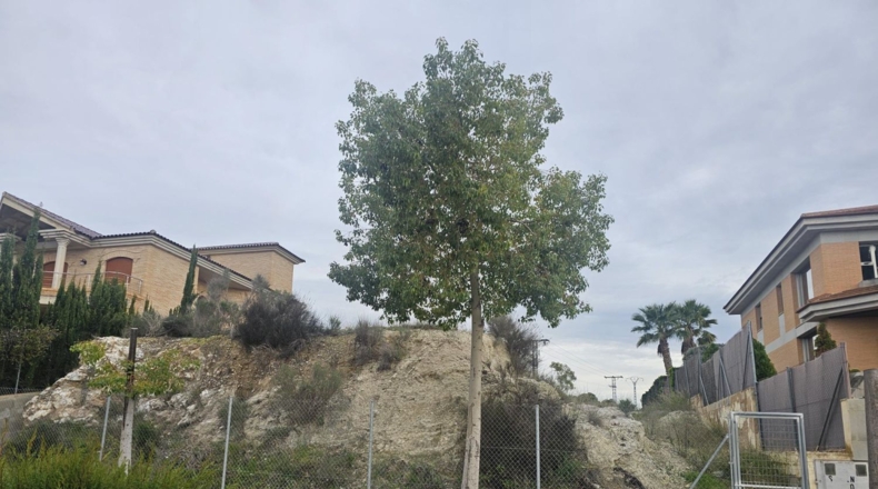 Murcia - Molina de Segura - 1073m2