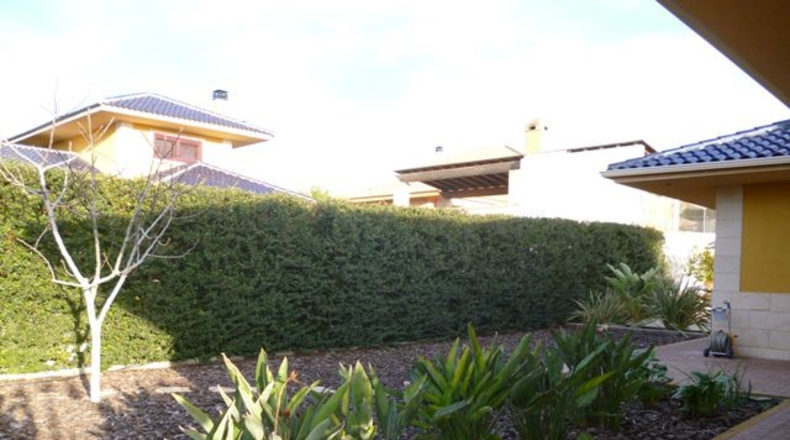 Murcia - Los Vientos - 1200m2